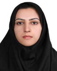 neda mollakhalili